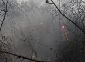 2019-07-21t134323z_1898307389_rc1d606eb770_rtrmadp_3_portugal-wildfires.jpg