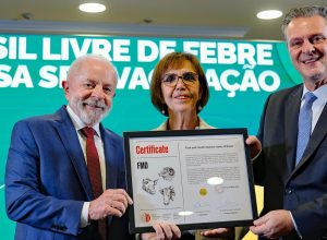 54571231430_17dc403e46_o.jpg 54571231430_17dc403e46_o.jpg