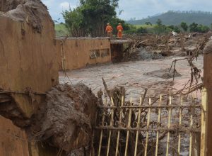 984184-mg09112015-_wdo7381.jpg 984184-mg09112015-_wdo7381.jpg