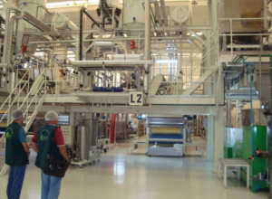 Gabriella-Saraivah-5.png Gabriella-Saraivah-5.png