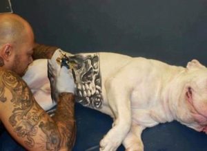cachorro_tatuado02.jpg