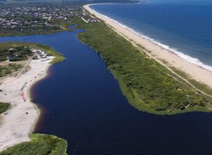 mata_atlantica01.jpg mata_atlantica01.jpg