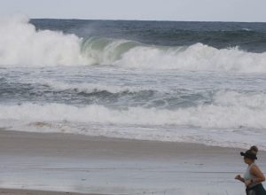 mg_0244.jpg mg_0244.jpg