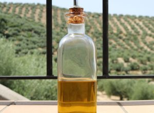 rosalerosa-freepik.jpg rosalerosa-freepik.jpg