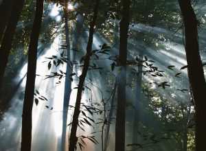 veiculos_da_ebc_apresentam_mostra_de_filmes4.jpg veiculos_da_ebc_apresentam_mostra_de_filmes4.jpg